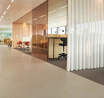 Forbo Marmoleum Decibel on Order 375835 shale фото 2 | FLOORDEALER